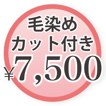 毛染め（カット付き） ¥7,500